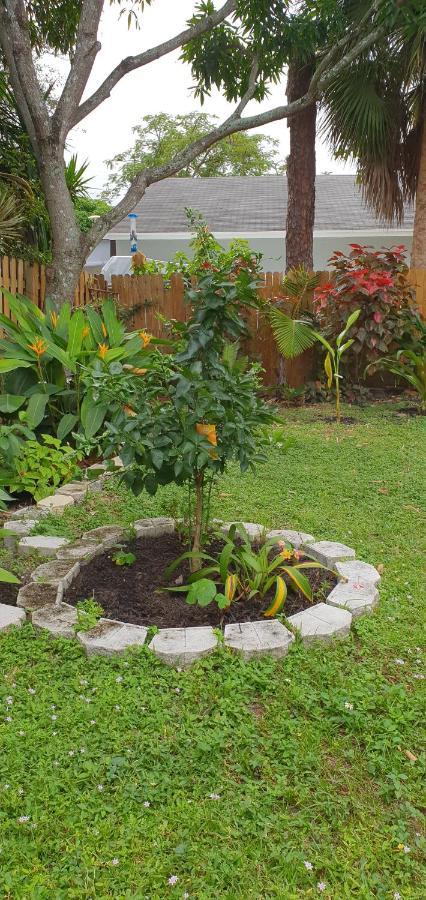 Tropical Hideaway! Apartment Fort Lauderdale Ngoại thất bức ảnh