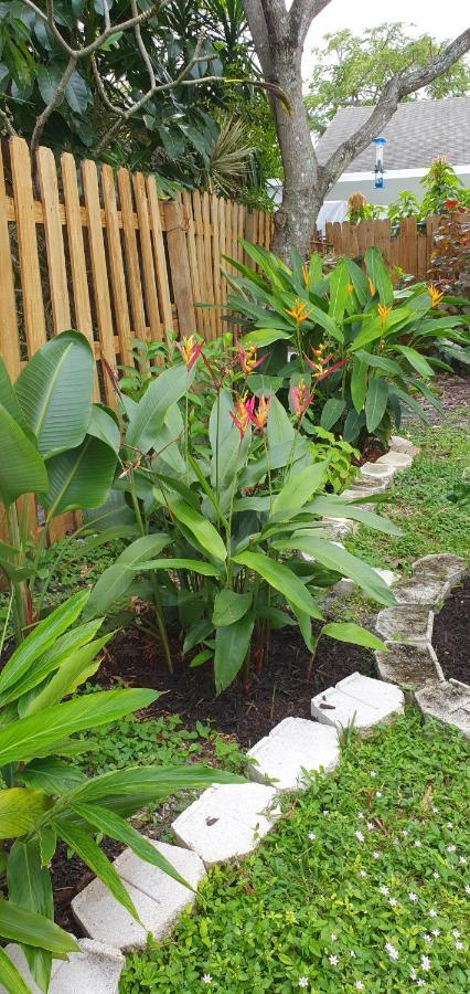 Tropical Hideaway! Apartment Fort Lauderdale Ngoại thất bức ảnh